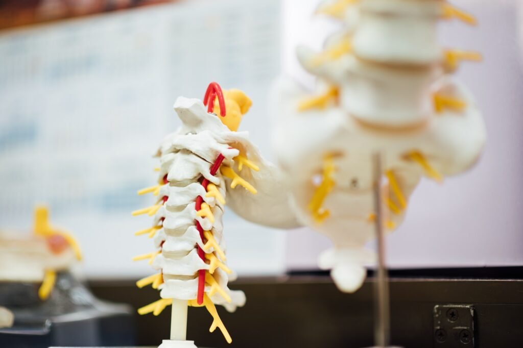 white and yellow ice cream with cone, spinal cord