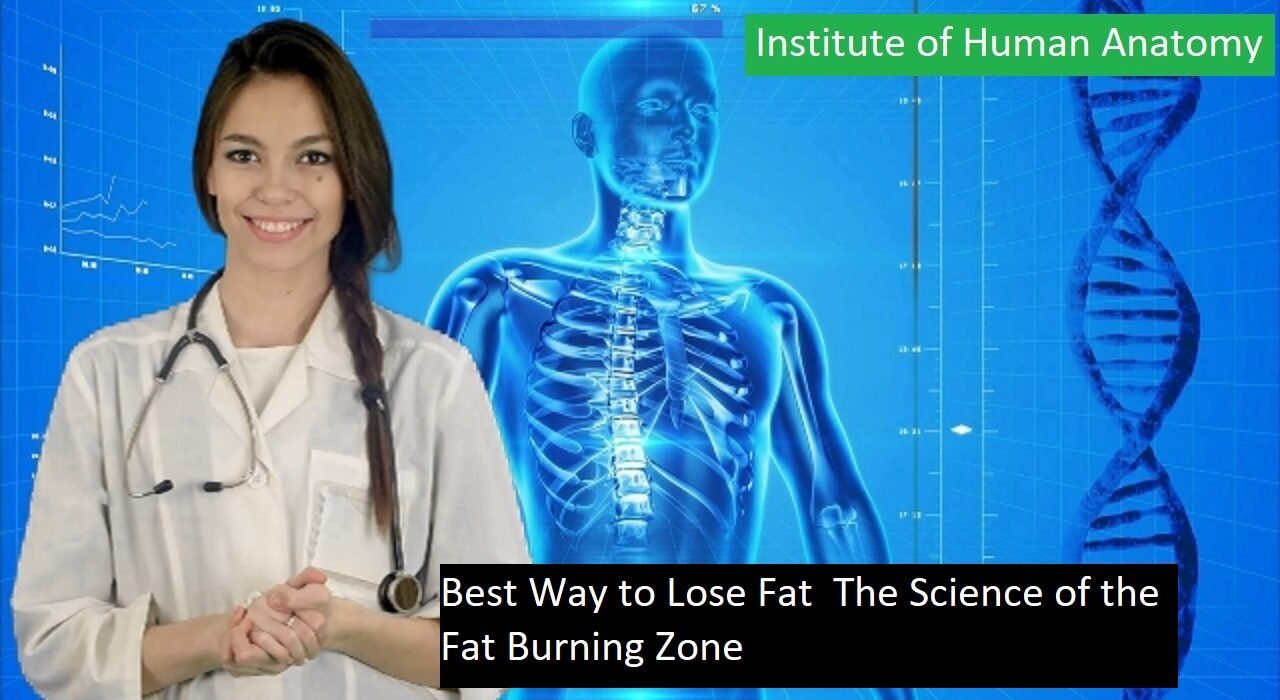 Best Way to Lose Fat | The Science of the Fat Burning Zone