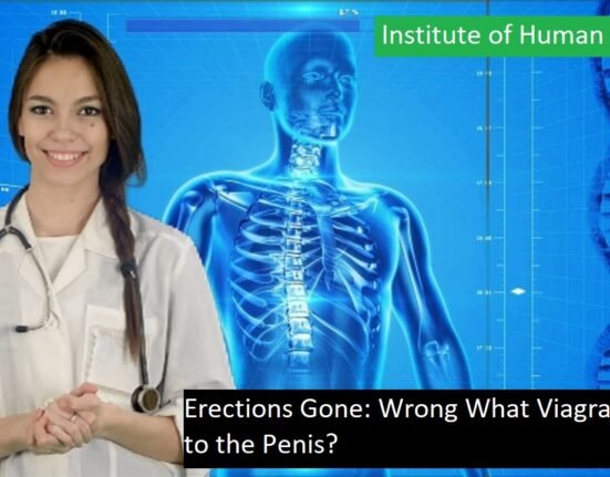 Erections Gone Wrong What Viagra Does to the Penis