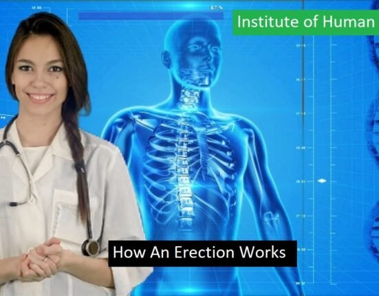 Erection