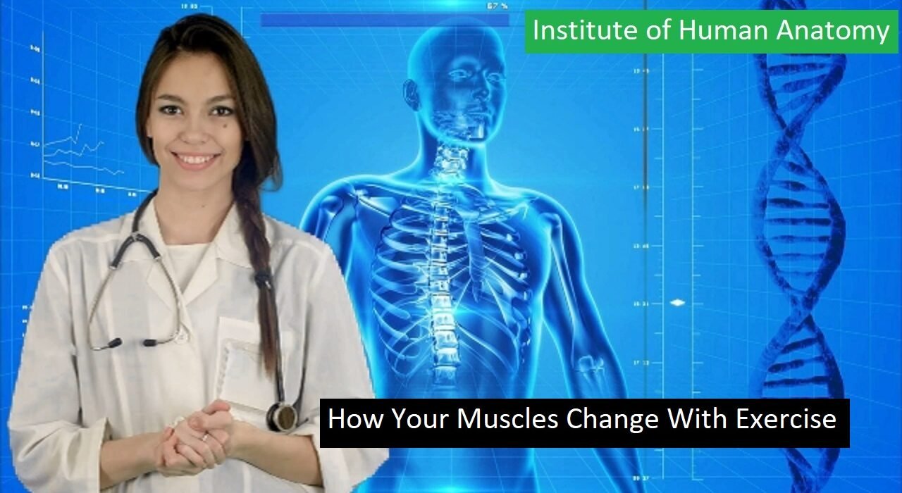 Muscles Change
