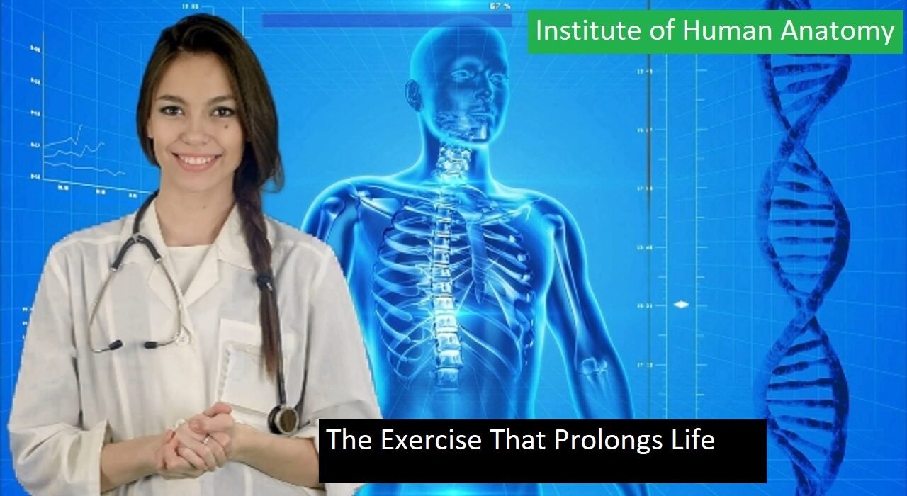 The Exercise That Prolongs Life