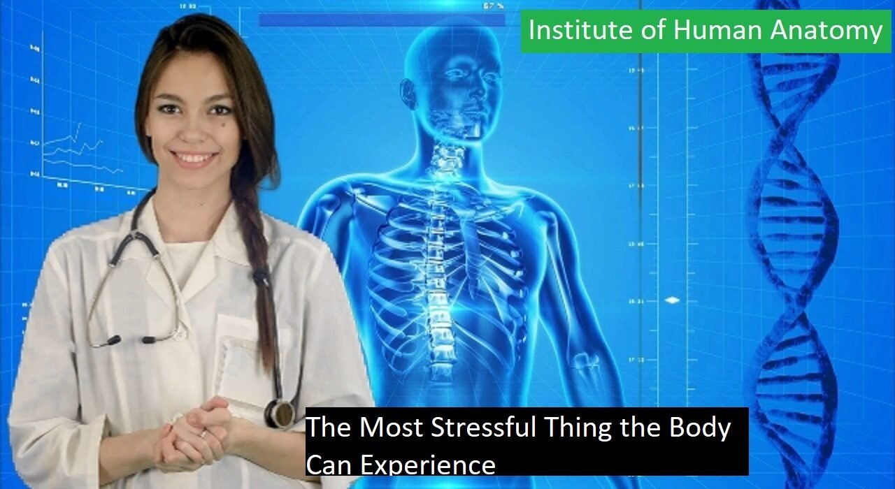 Stressful