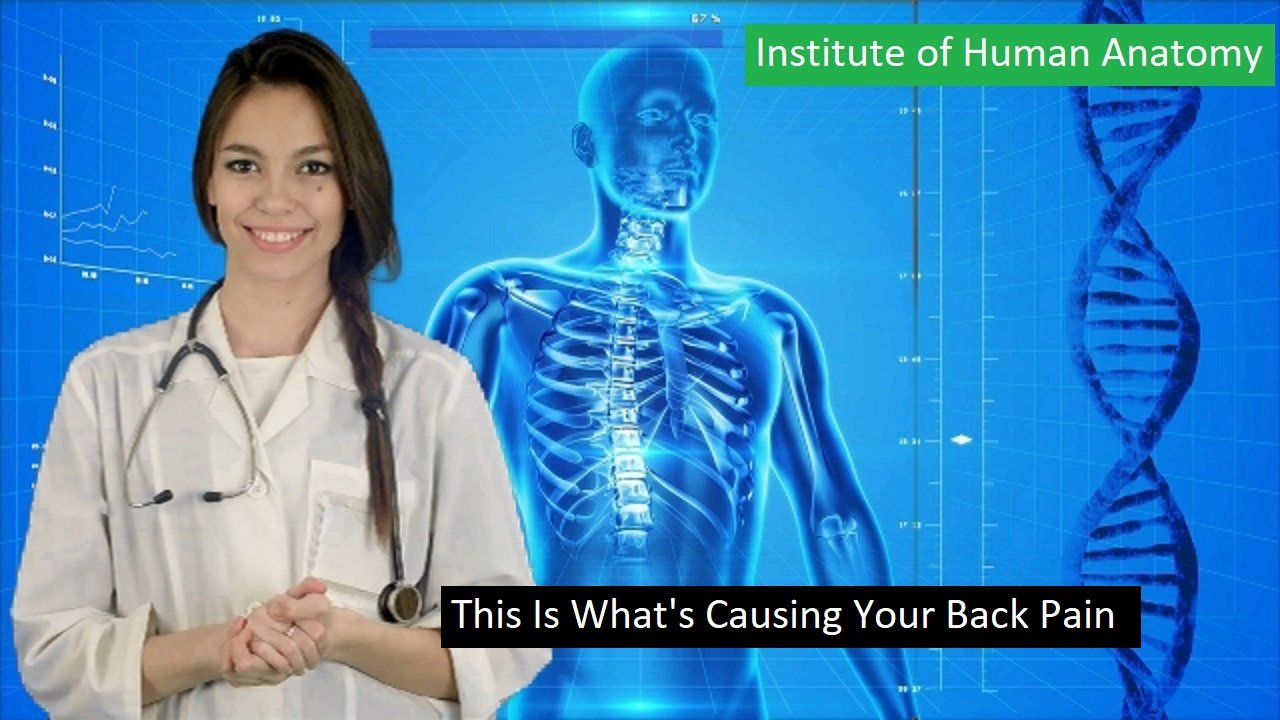 This Is What's Causing Your Back Pain