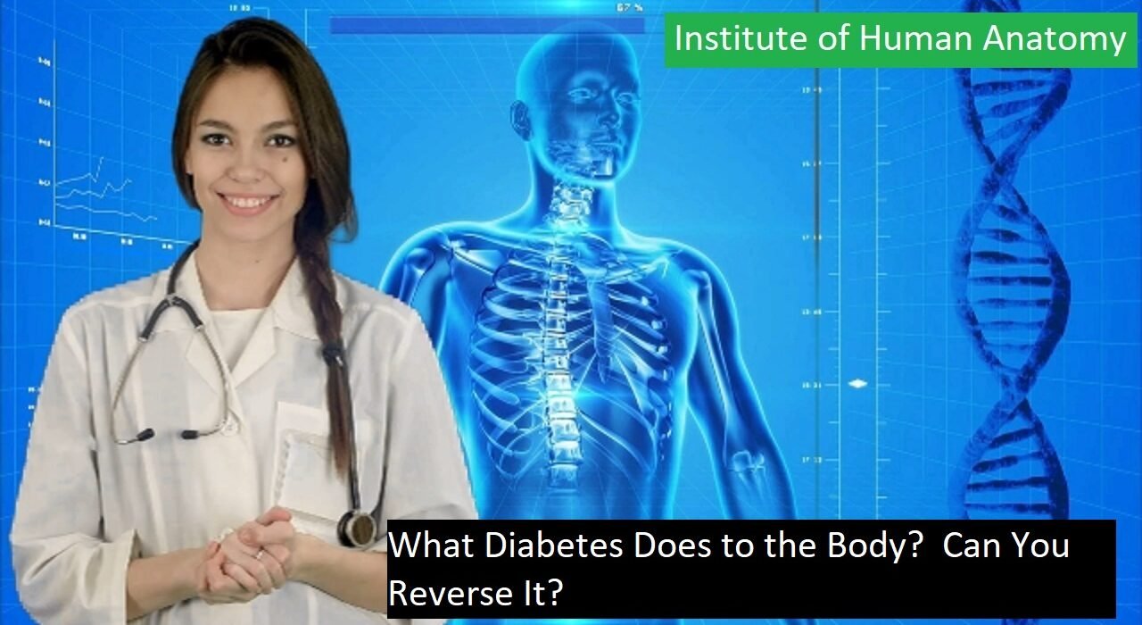 What Diabetes Does to the Body Can You Reverse It