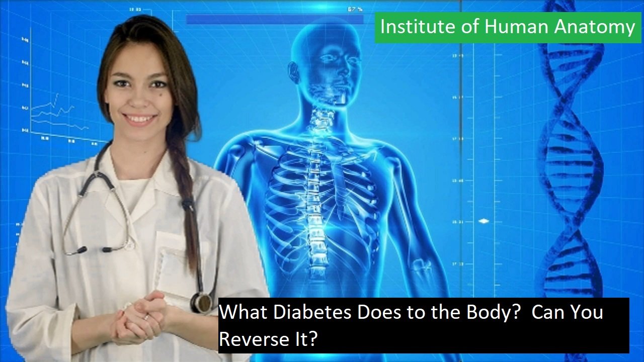 What Diabetes Does to the Body Can You Reverse It