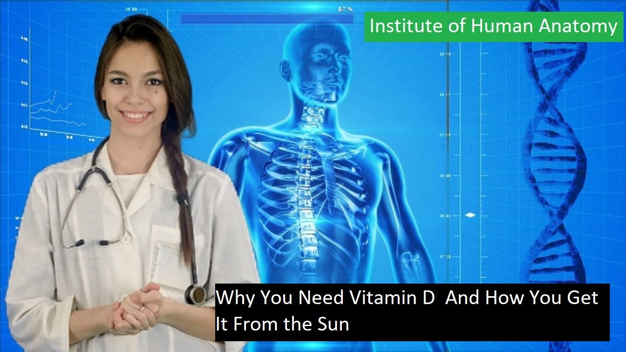 Vitamin D