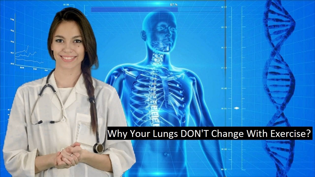 Why Your Lungs DON'T Change With Exercise